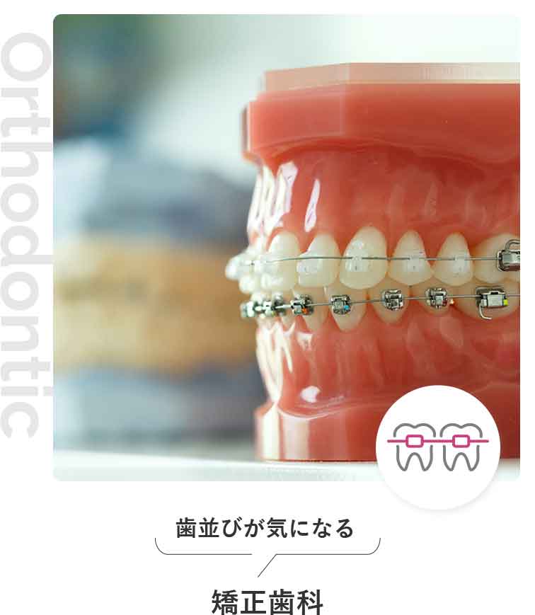 矯正歯科