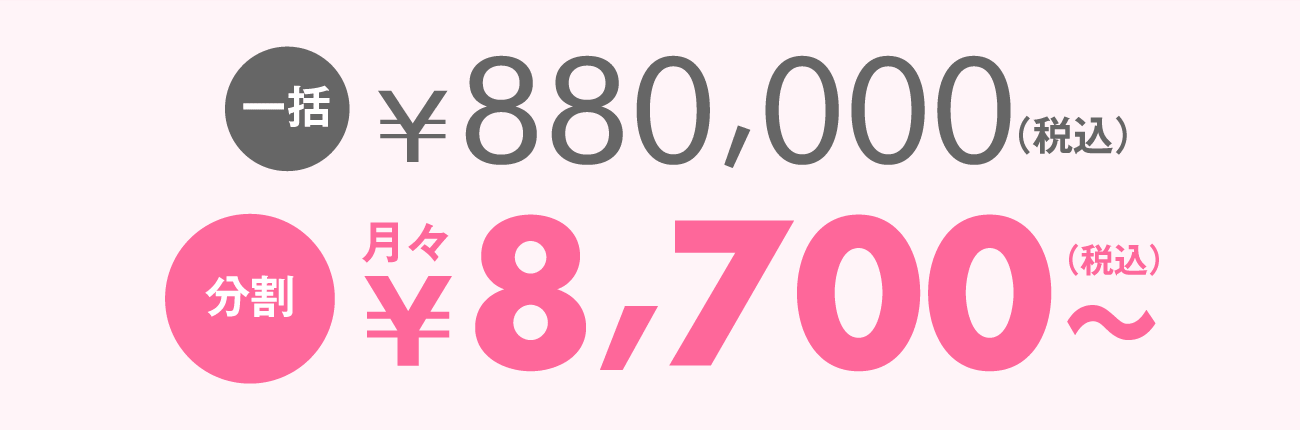 一括：￥880,000（税込）　分割：月々￥8,700～（税込）