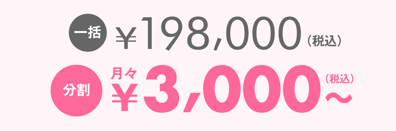 一括：￥198,000（税込）　分割：月々￥3,000～（税込）