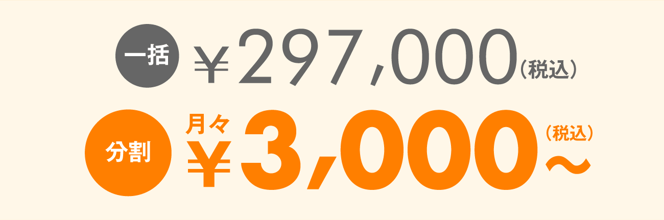 一括：￥297,000（税込）　分割：月々￥3,000～（税込）